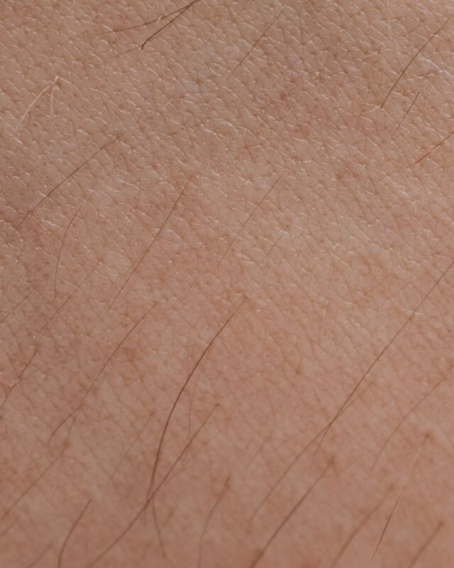 Close-up of hairs growing from skin, answering does shaving make hair grow back thicker